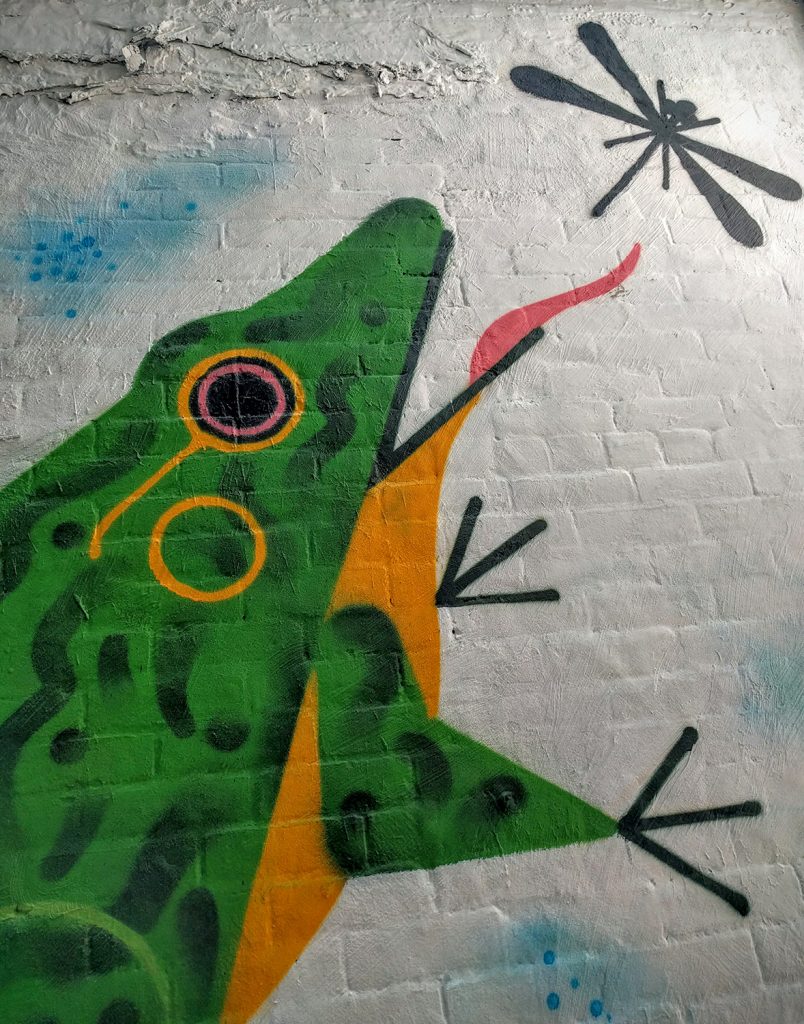 graffiti agency - residential mural