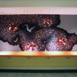 Dots Abstract Art at Eisai Pharma Office in NJ