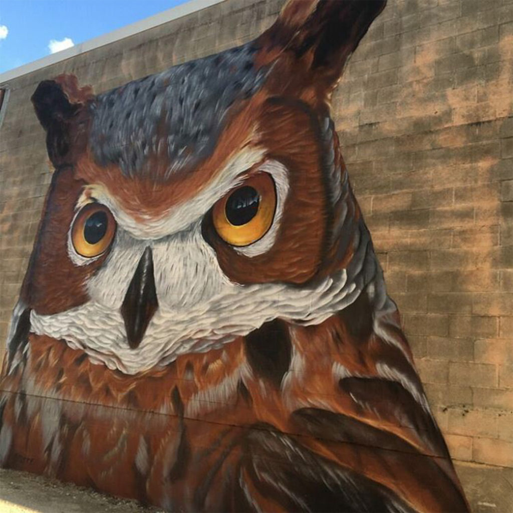Large Scale Owl Mural in Houston, Texas Owl Mural in Houston by Pilot FX