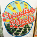 Seattle Sign Painter
