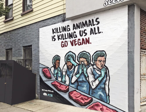 PETA mural in Brooklyn, NY